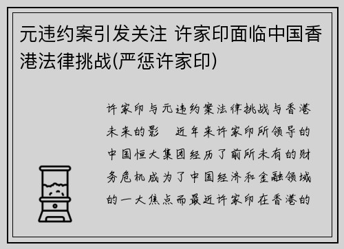 元违约案引发关注 许家印面临中国香港法律挑战(严惩许家印)