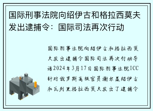 国际刑事法院向绍伊古和格拉西莫夫发出逮捕令：国际司法再次行动