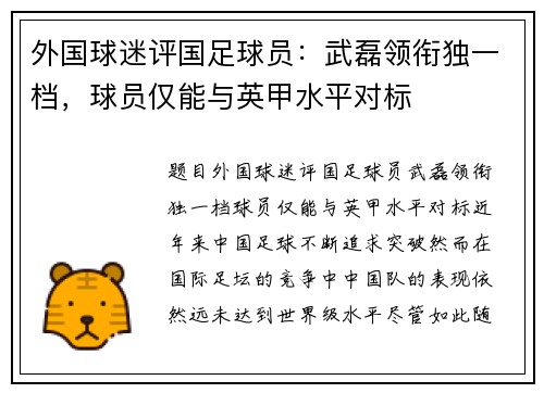 外国球迷评国足球员：武磊领衔独一档，球员仅能与英甲水平对标