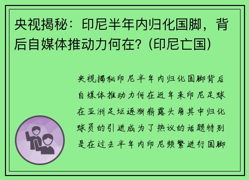 央视揭秘：印尼半年内归化国脚，背后自媒体推动力何在？(印尼亡国)