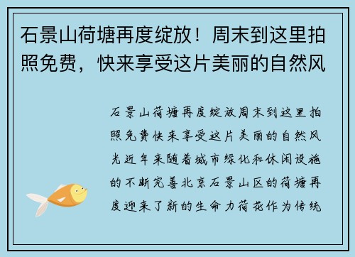 石景山荷塘再度绽放！周末到这里拍照免费，快来享受这片美丽的自然风光！